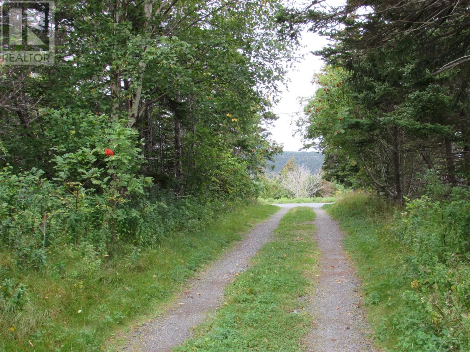 54 C Point Road Unit#c, Chapel's Cove, Newfoundland & Labrador A0A 1V0