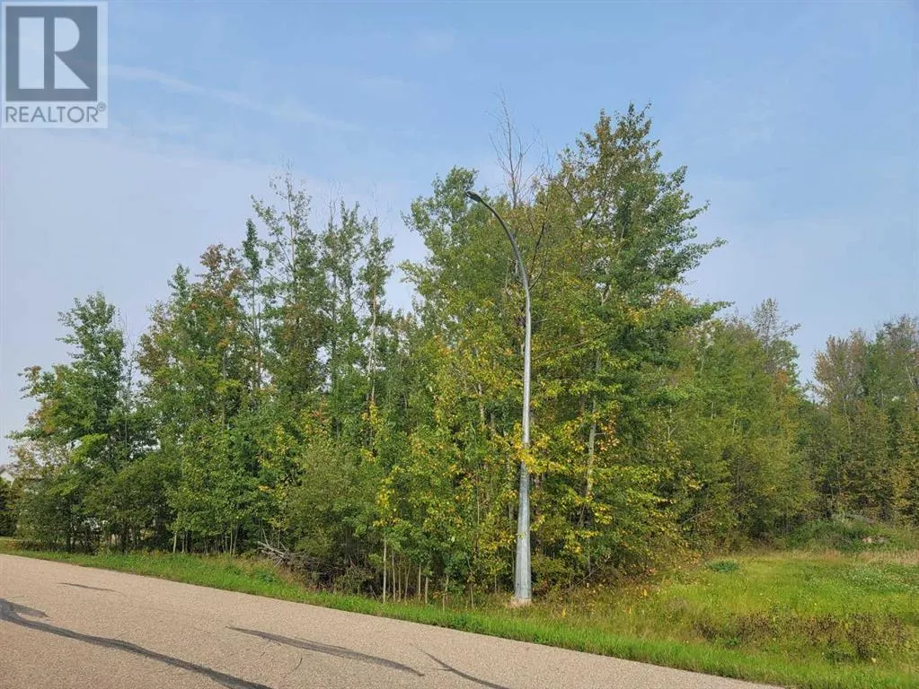 5404 Spruce Avenue, Wandering River, Alberta T0A 3M0