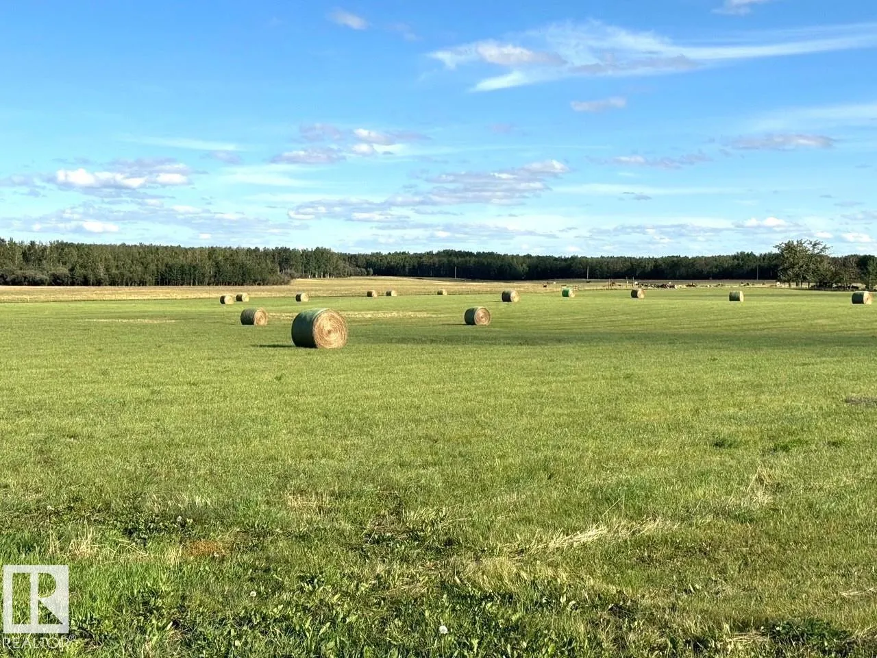 No Building for rent: 542a Rrd 92, Rural Yellowhead, Alberta T0E 2M0