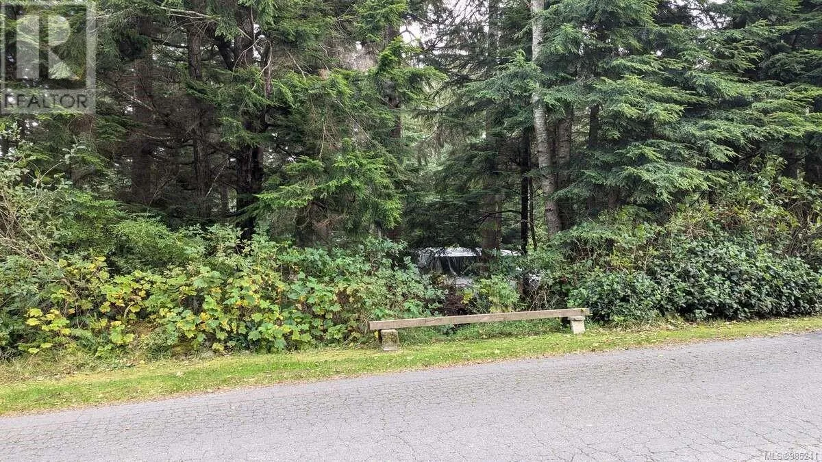 542e Larch St, Alert Bay, British Columbia V0N 1A0