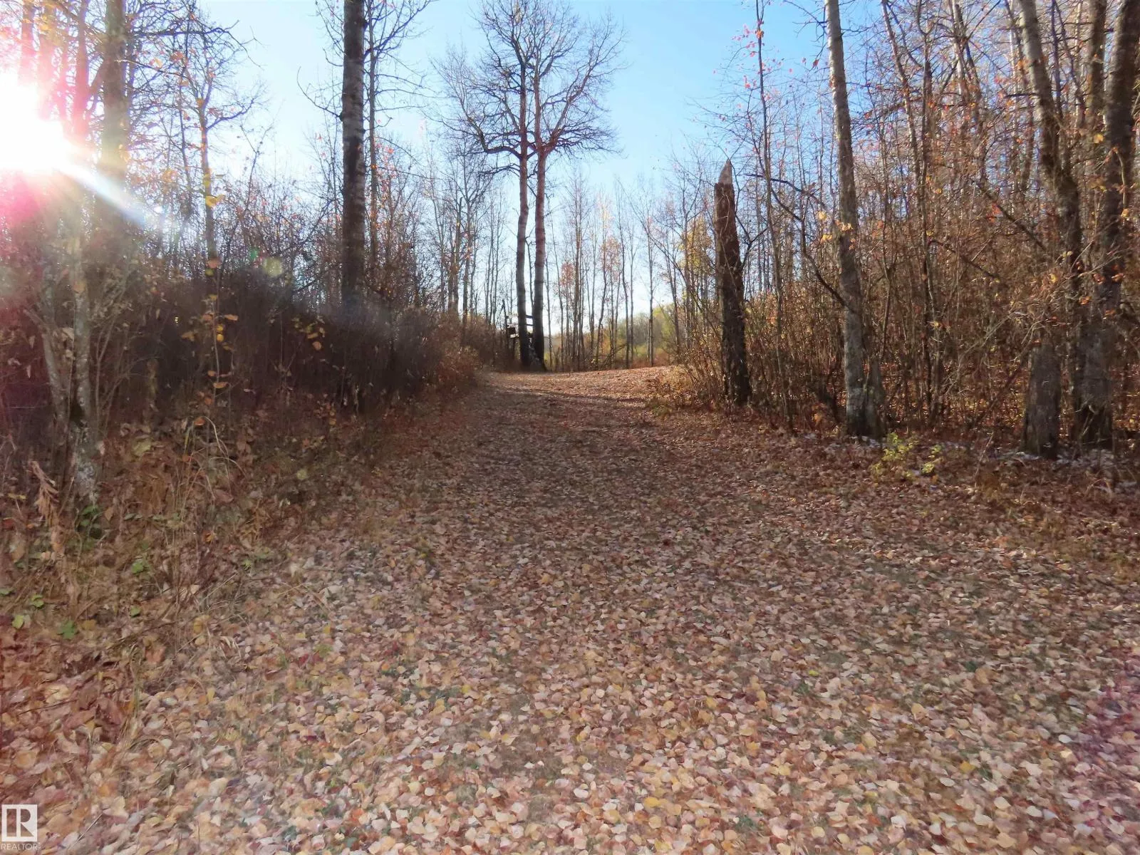 No Building for rent: 54425 Ste Anne Trail, Rural Lac Ste. Anne County, Alberta T0E 1V0