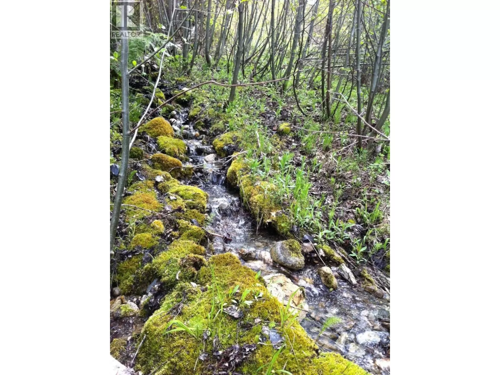 Other for rent: 549 Rosebud Lake Road, Salmo, British Columbia V0G 1Z0