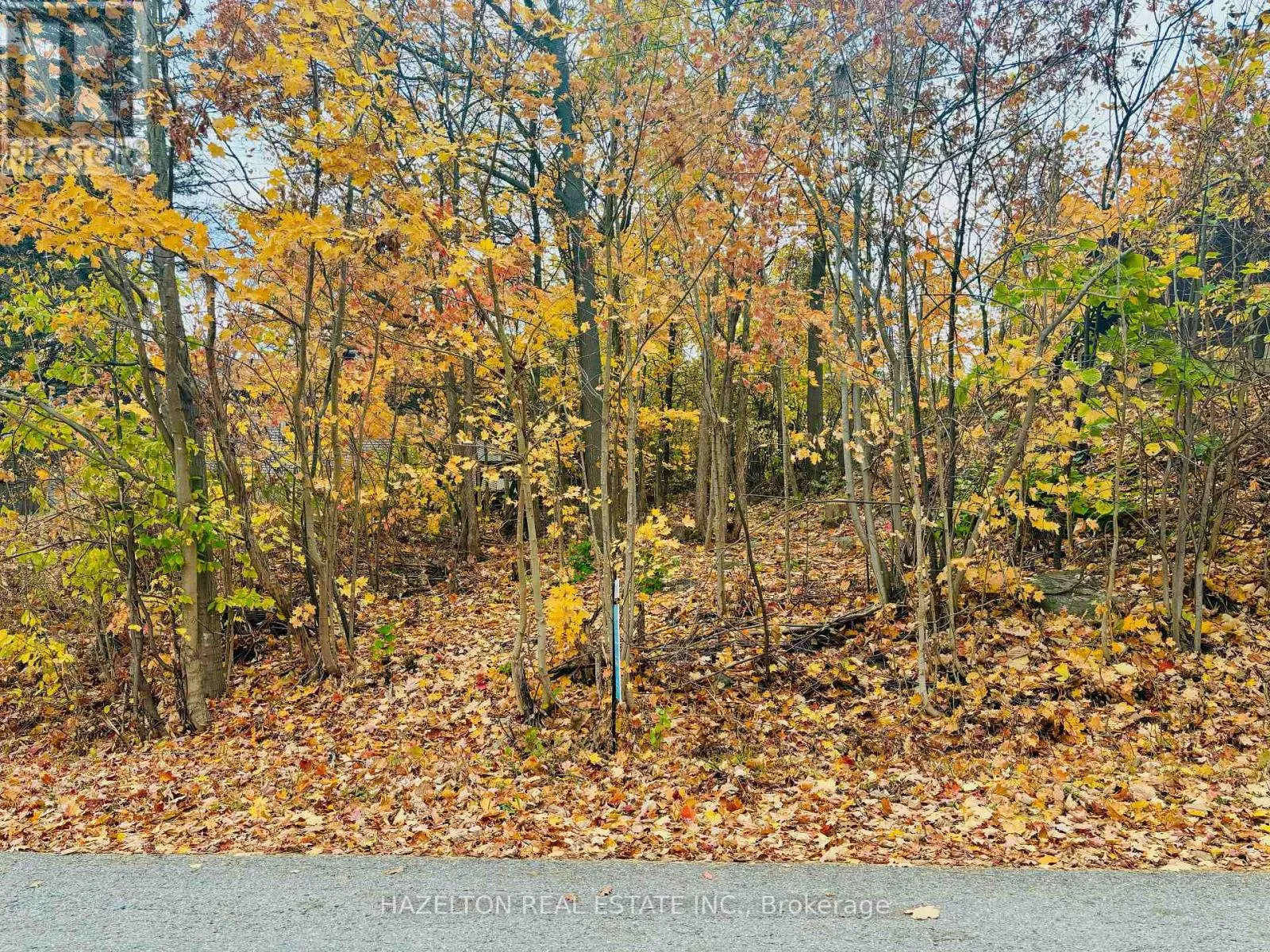 554 Barnes Avenue, Tay, Ontario L0K 1R0