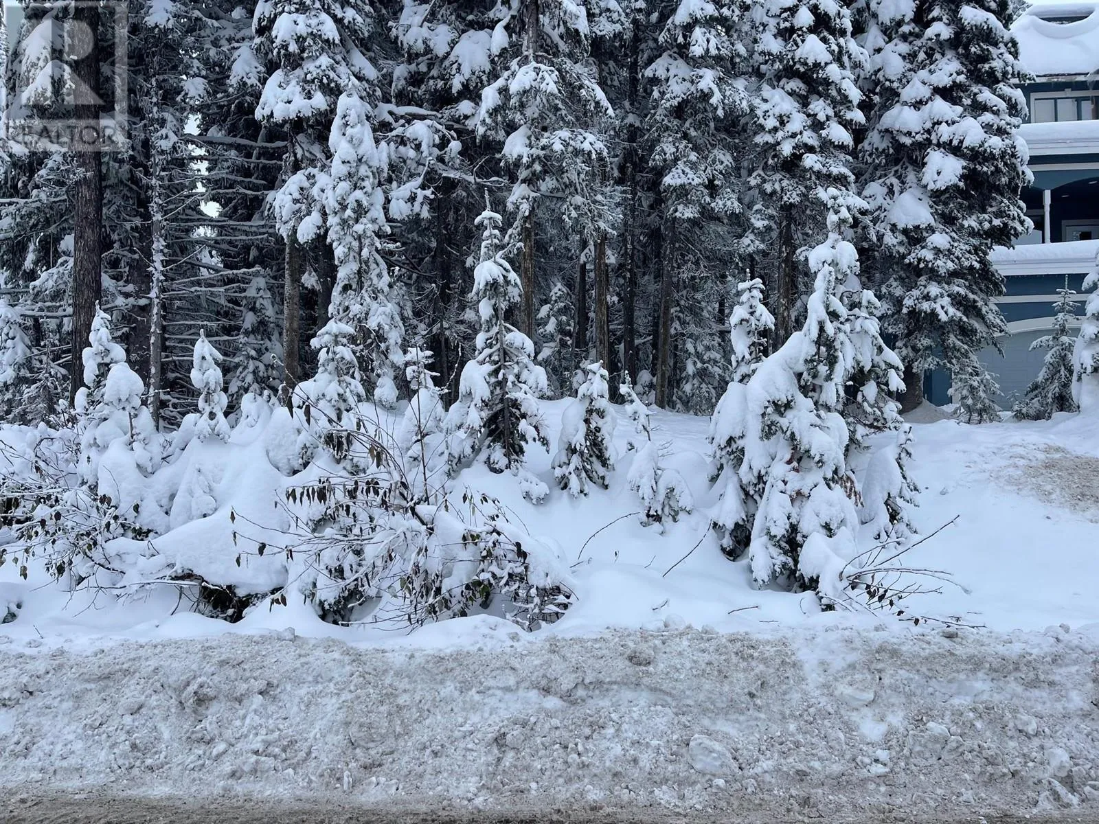 Other for rent: 555 Monashee Road, Silver Star, British Columbia V1B 3M1