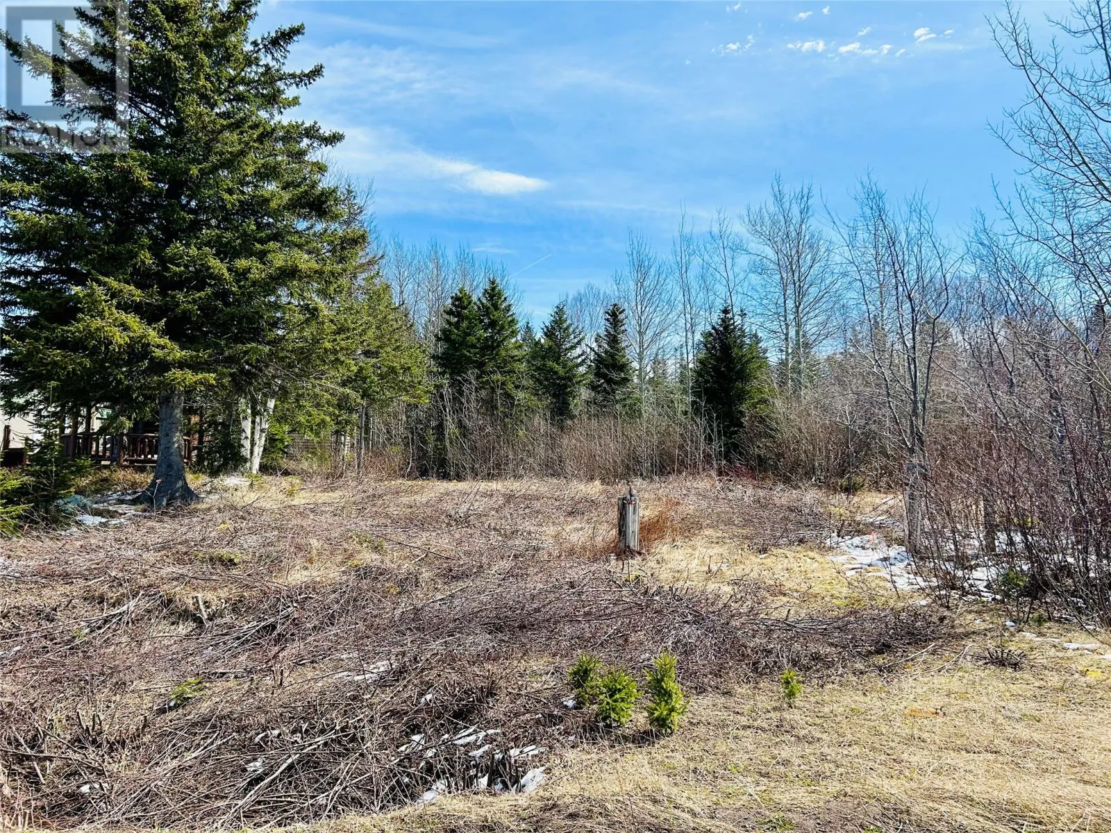 56 Pleasantview Road, Point Leamington, Newfoundland & Labrador