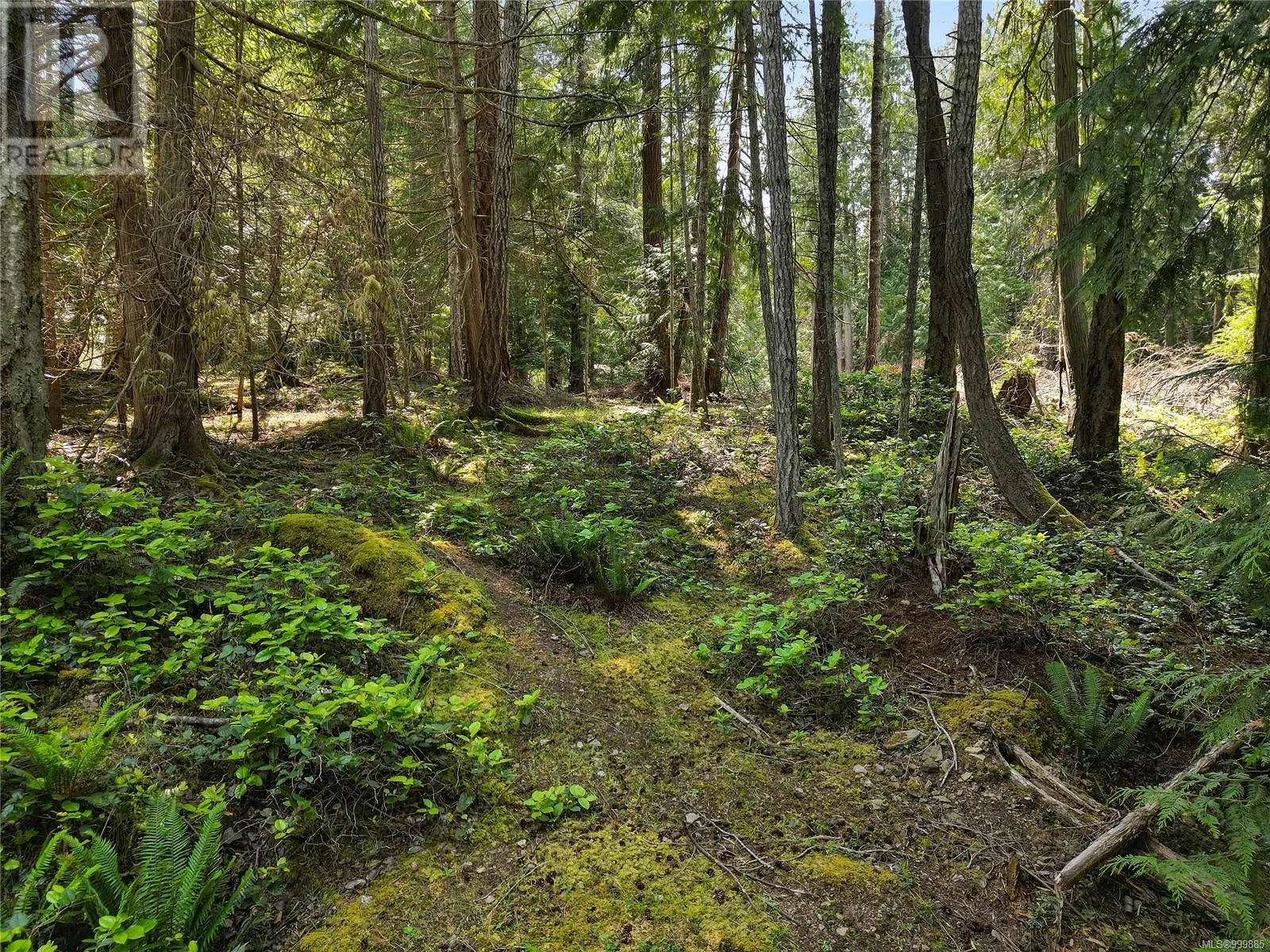 568 Aya Reach Rd, Mayne Island, British Columbia V0N 2J1