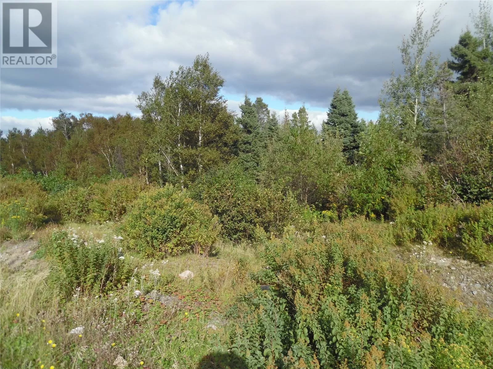 57a Legion Road, Port Blandford, Newfoundland & Labrador A0C 2G0