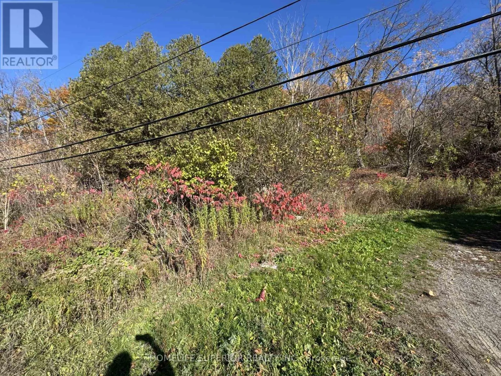 58 Main Street, Marmora and Lake, Ontario K0K 2M0