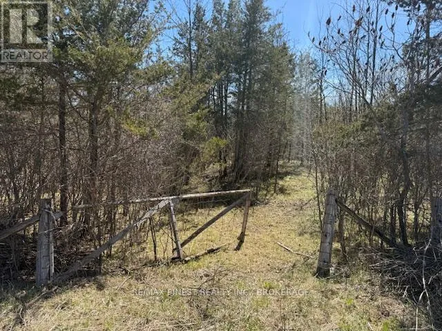 580 Love Road, Loyalist, Ontario K0H 2H0