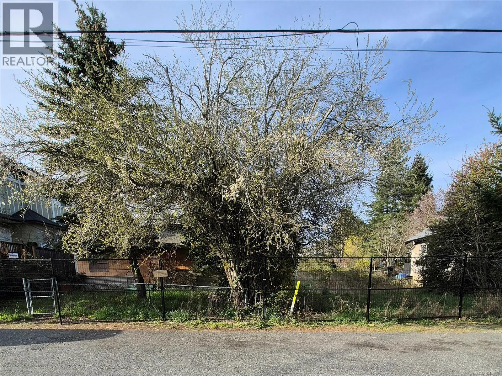 House for rent: 580 Rosehill St, Nanaimo, British Columbia V9S 1E6