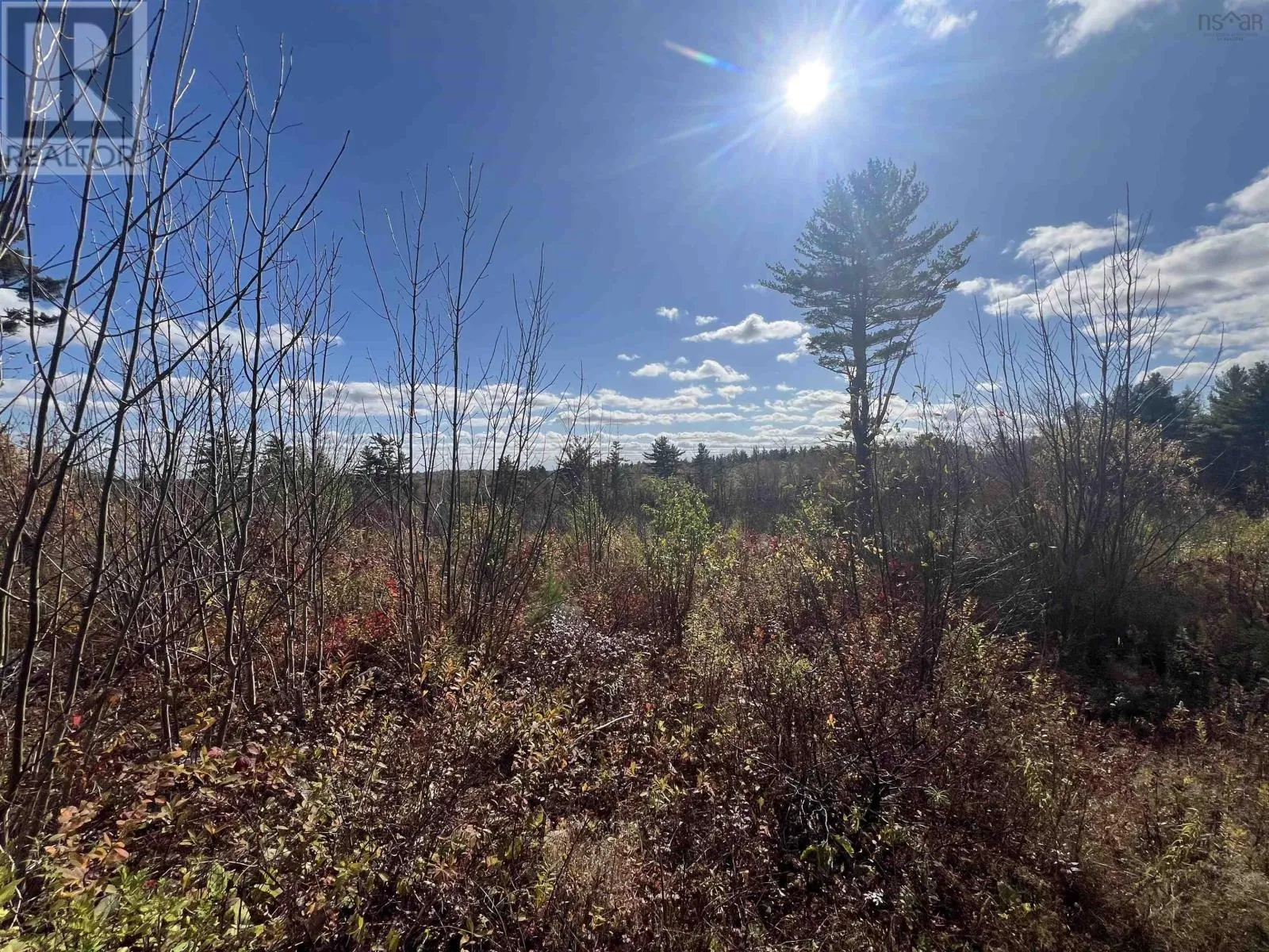 5896 Highway 8, Milford, Nova Scotia B0S 1A0