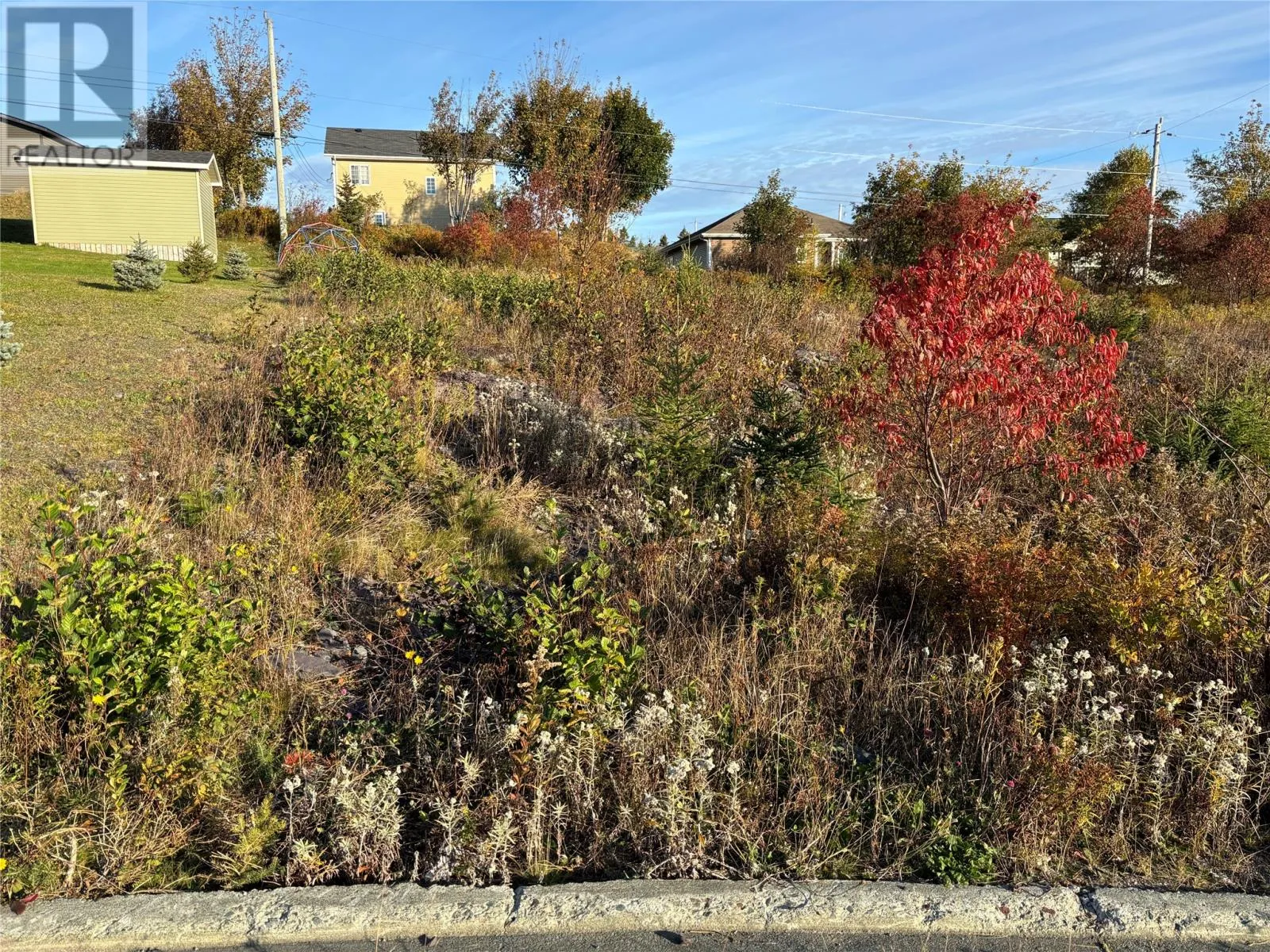 59 Badcock Boulevard, Bay Roberts, Newfoundland & Labrador A0A 1G0