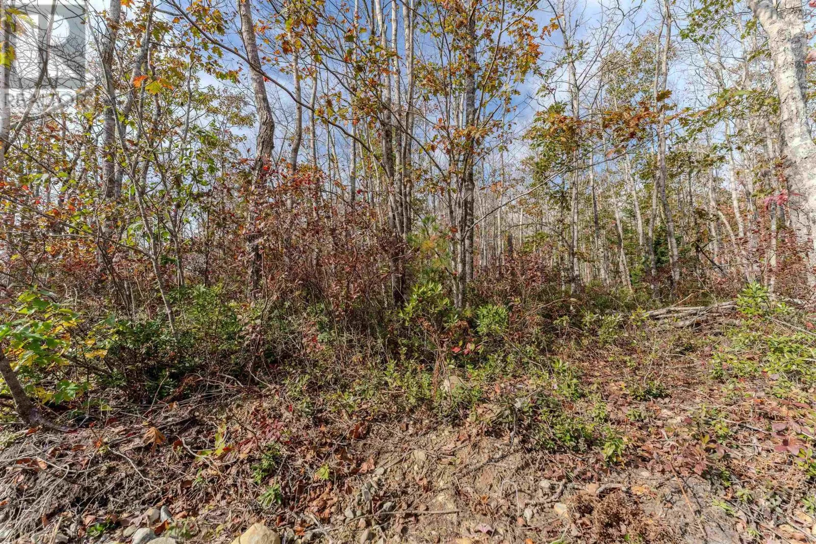 59 Morton Drive, Liverpool, Nova Scotia B0T 1K0