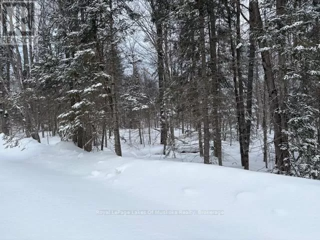 59 Summer Leigh Trail, Huntsville, Ontario P0B 1M0