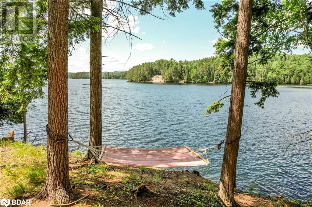 House for rent: 592 Moccasin Lake Road, Palmer Rapids, Ontario K0J 2E0