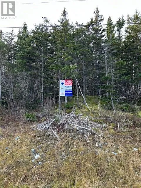 59-77 Main Road, Hearts Content, Newfoundland & Labrador A0B 1Z0