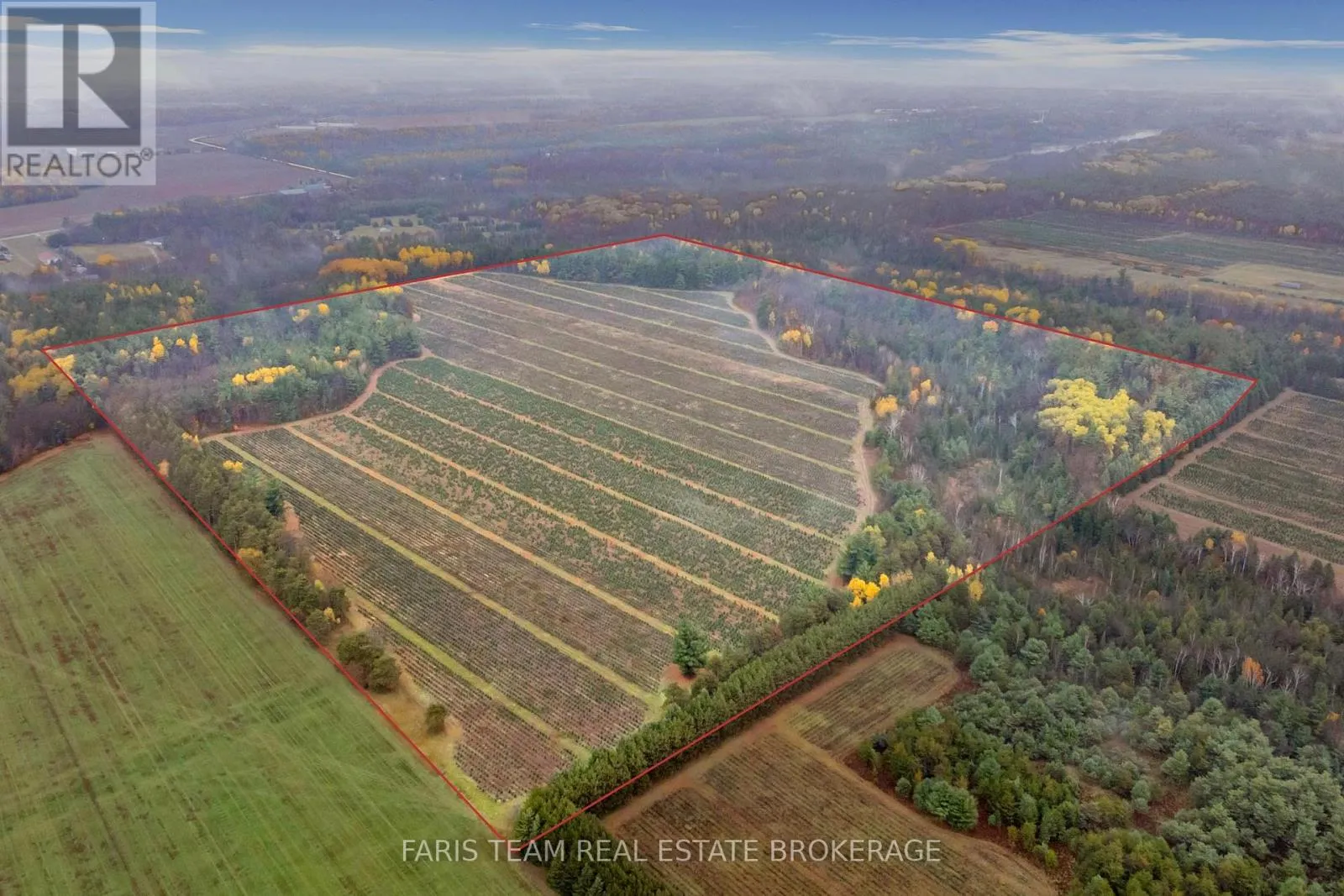 5992 Concession 2 Sunnidale, Clearview, Ontario L0M 1N0