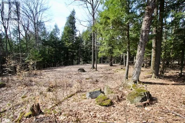 6 - 22 Gryffin Bluffs Lane, Huntsville, Ontario P0B 1M0