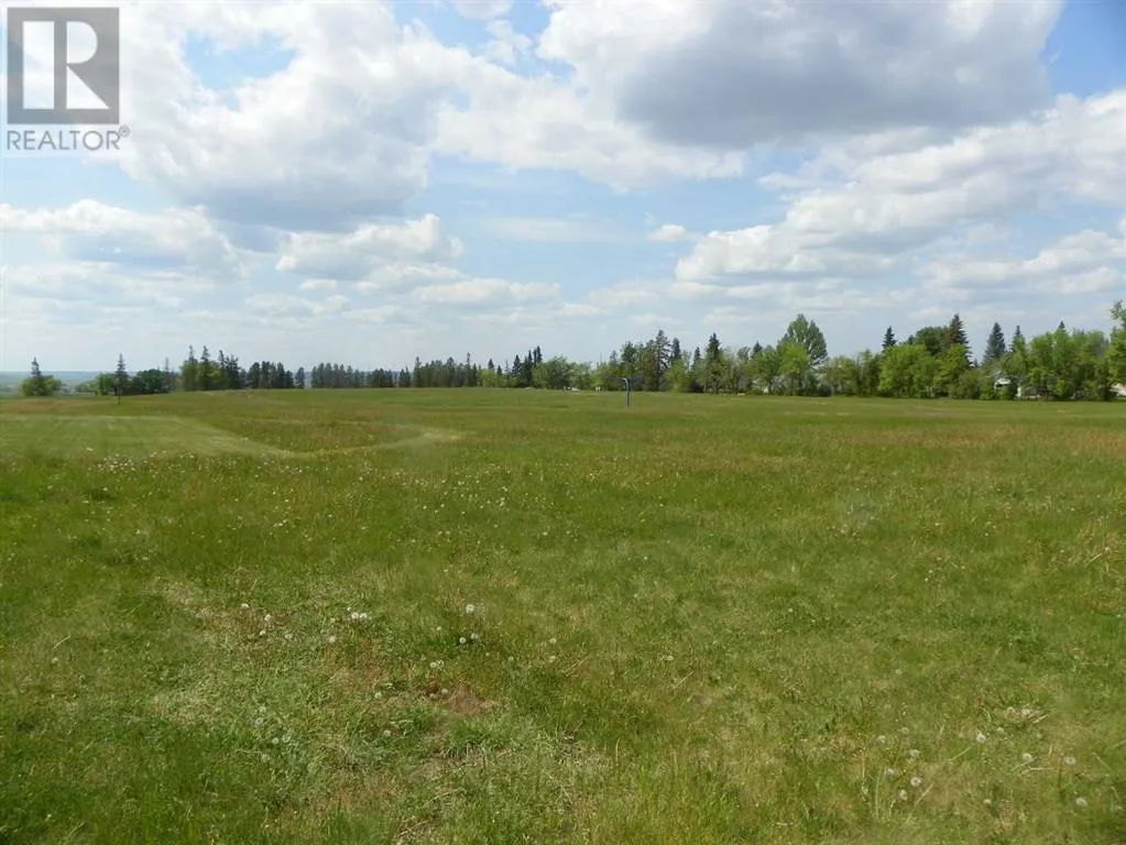 Commercial Mix for rent: 6 Ave Avenue Ne, Three Hills, Alberta T0M 2A0