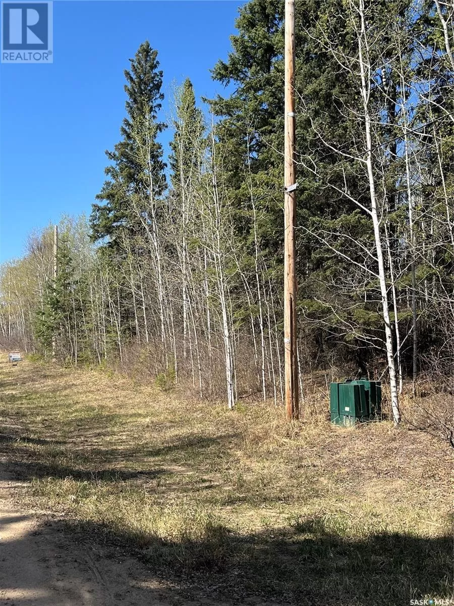 Unknown for rent: 6 Buckingham Trail, Big River Rm No. 555, Saskatchewan S0J 0E0