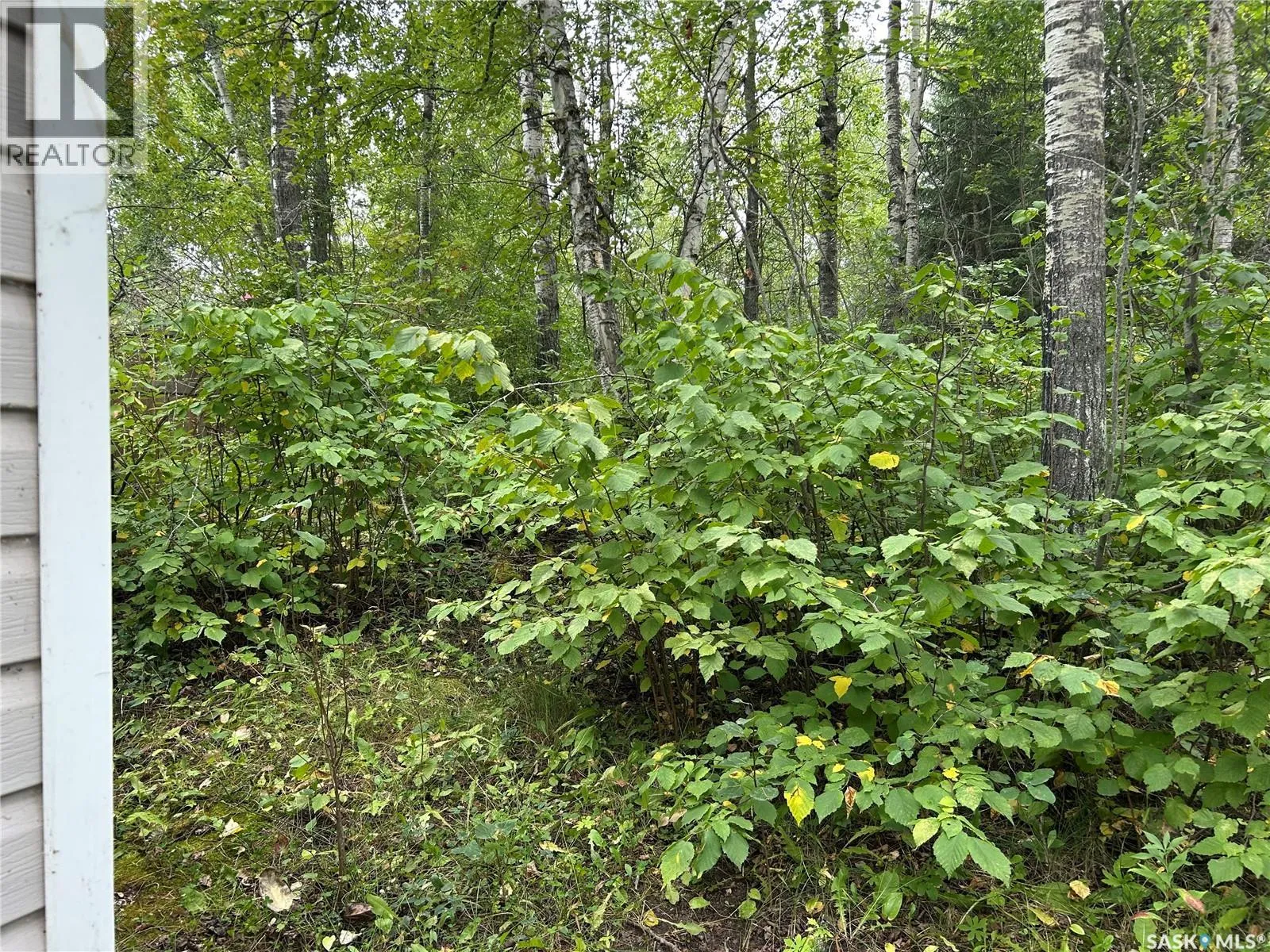 Unknown for rent: 6040 Spruce Way, Bjorkdale Rm No. 426, Saskatchewan S0E 0E0