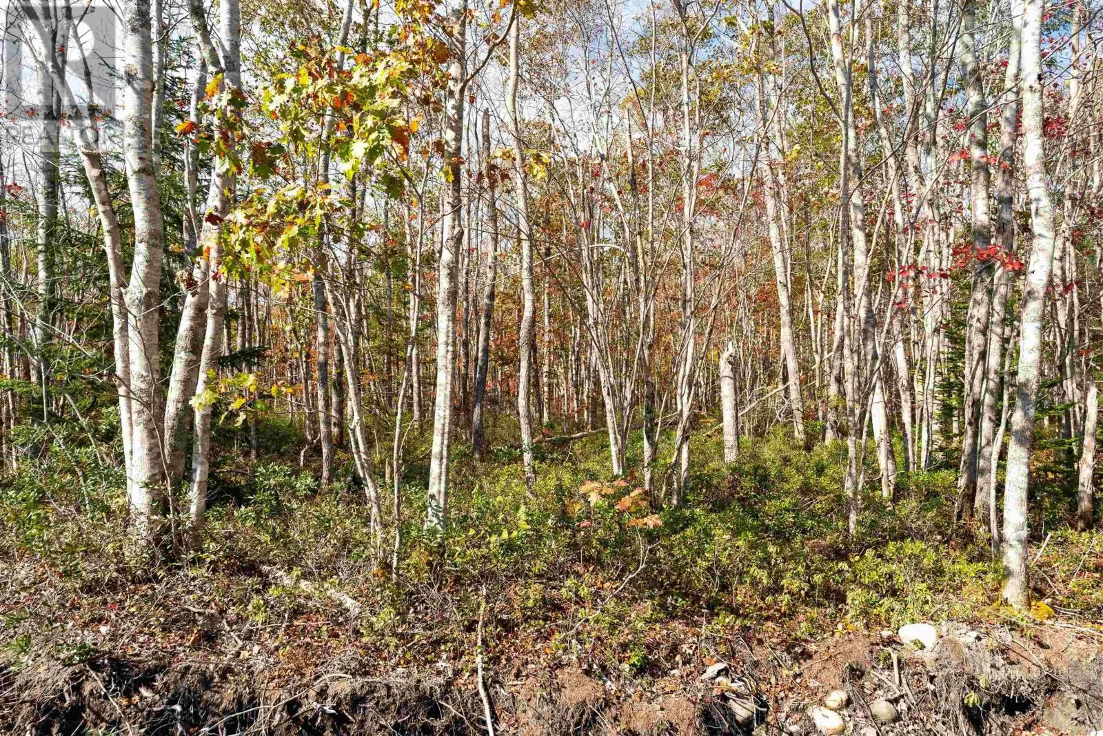 61 Morton Drive, Liverpool, Nova Scotia B0T 1K0