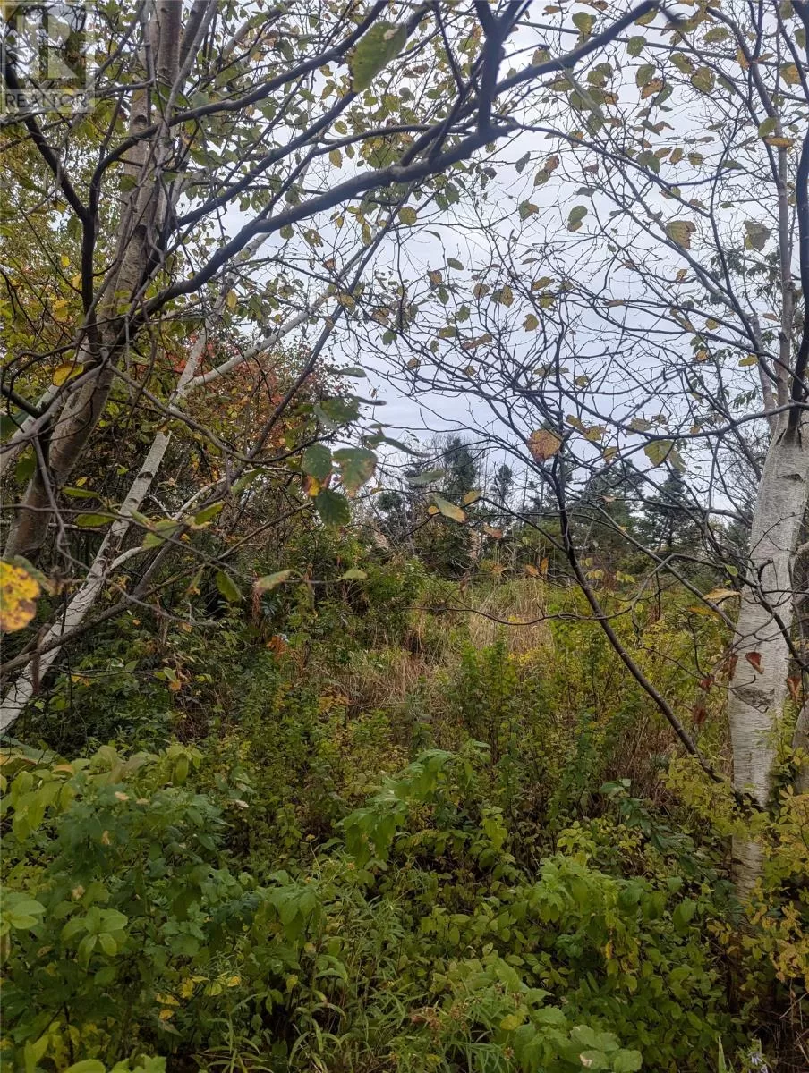 6-10 Parsons Place, Conception Bay South, Newfoundland & Labrador A1X 7B9