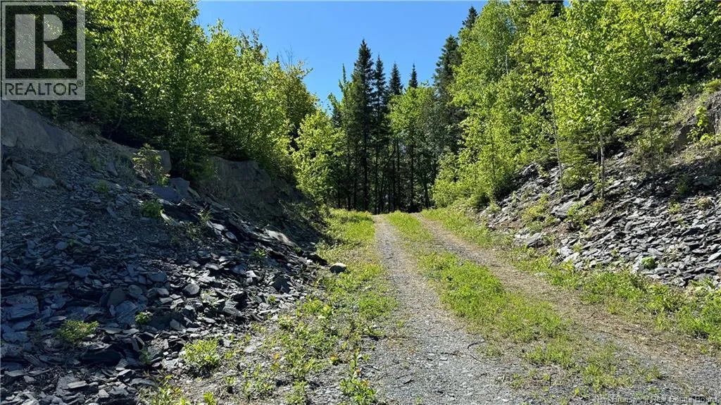 62 De La Falaise Street, Edmundston, New Brunswick E3V 0A7