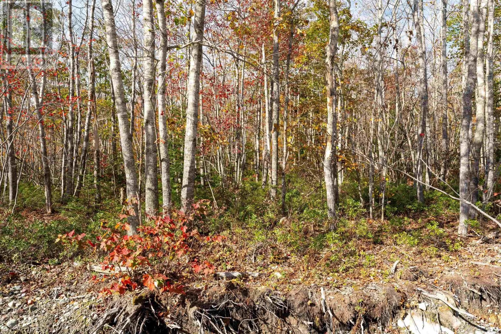 62 Morton Drive, Liverpool, Nova Scotia B0T 1K0