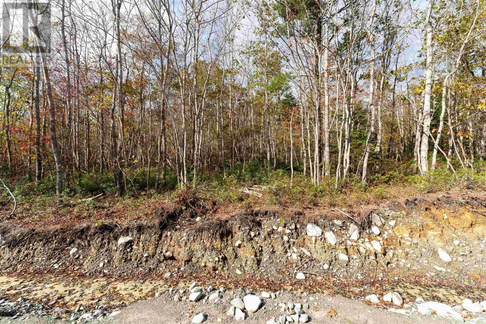 63 Morton Drive, Liverpool, Nova Scotia B0T 1K0