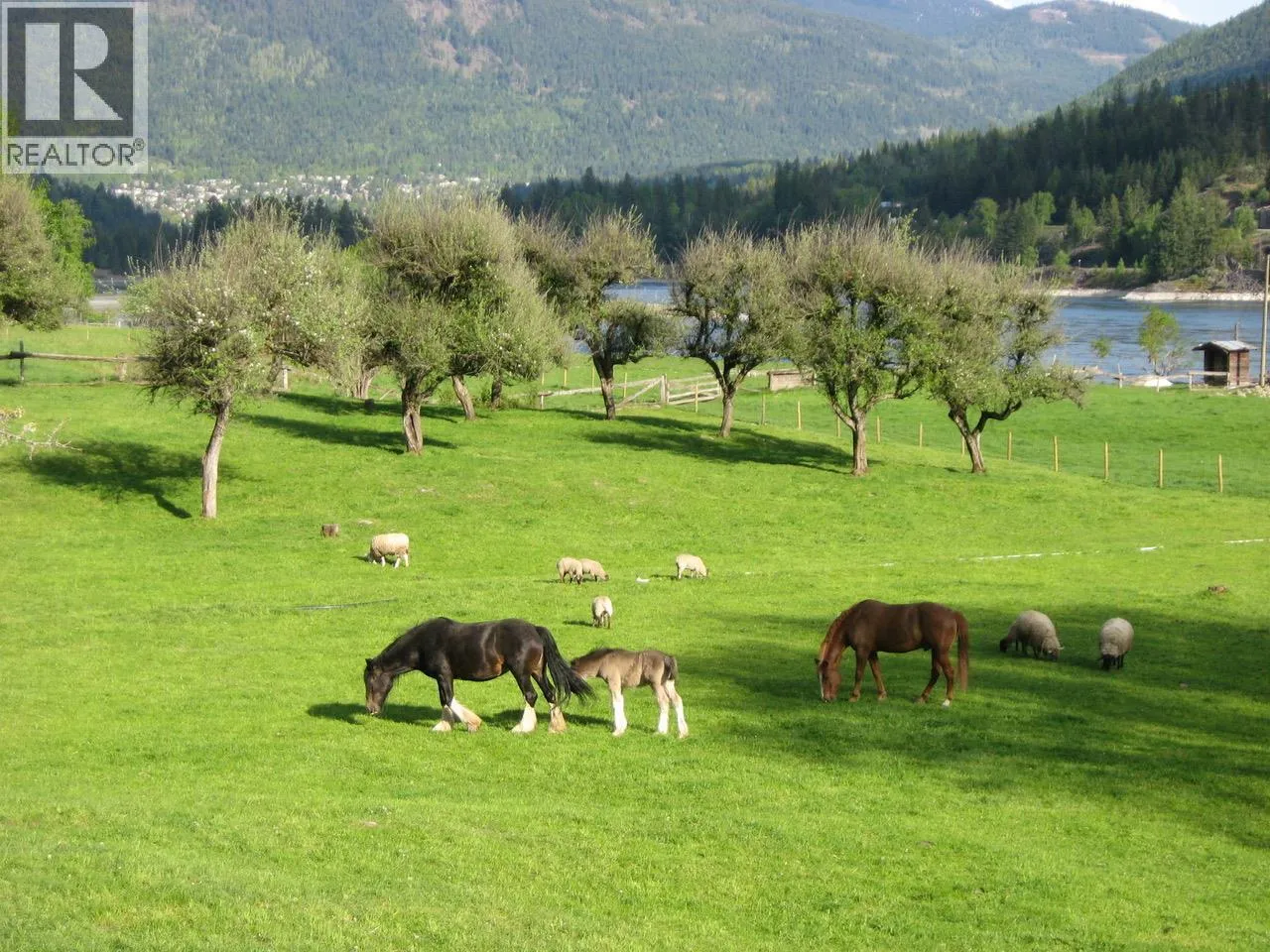 House for rent: 6302 Marsden Road, Nelson, British Columbia V1L 6X9