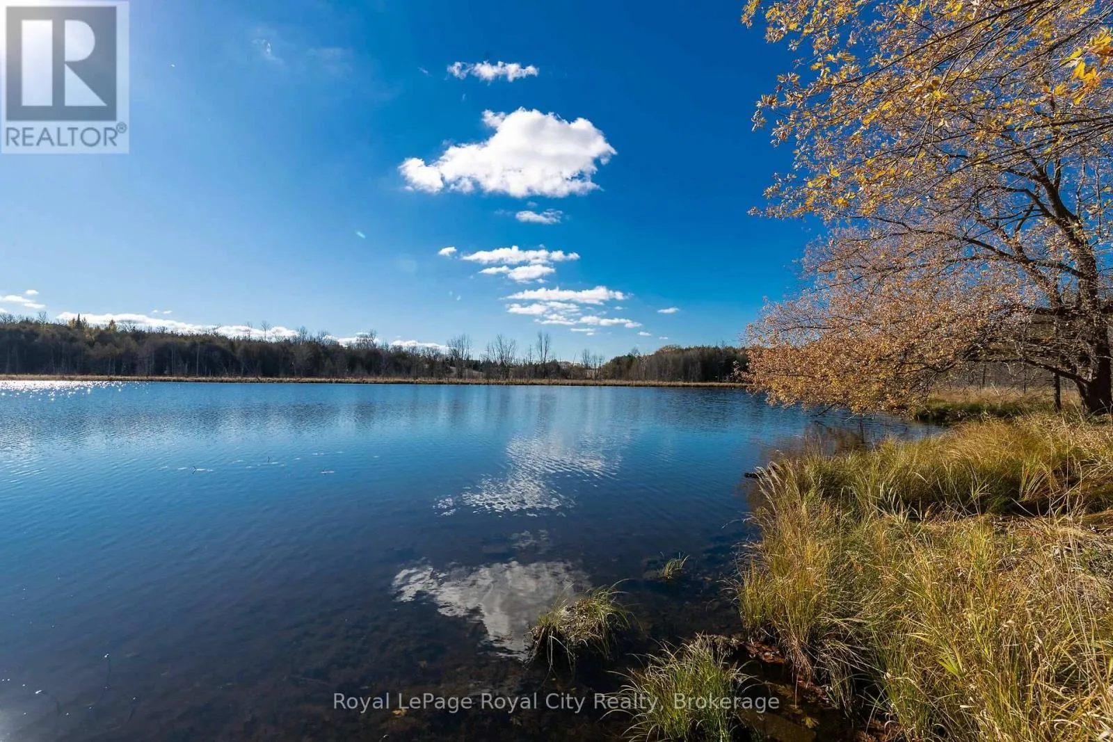 House for rent: 6361 16th Line, Minto, Ontario N0G 1M0