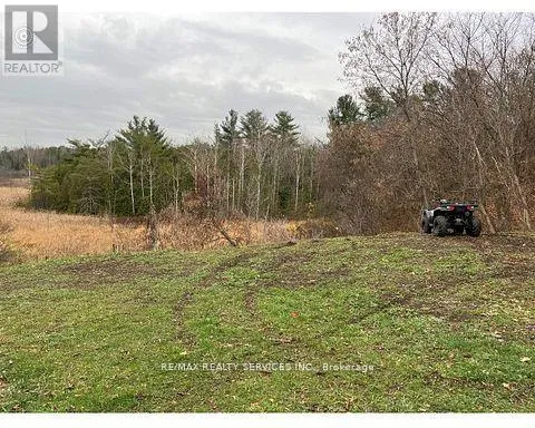 6385 Yonge Street, Innisfil, Ontario L0L 1K0