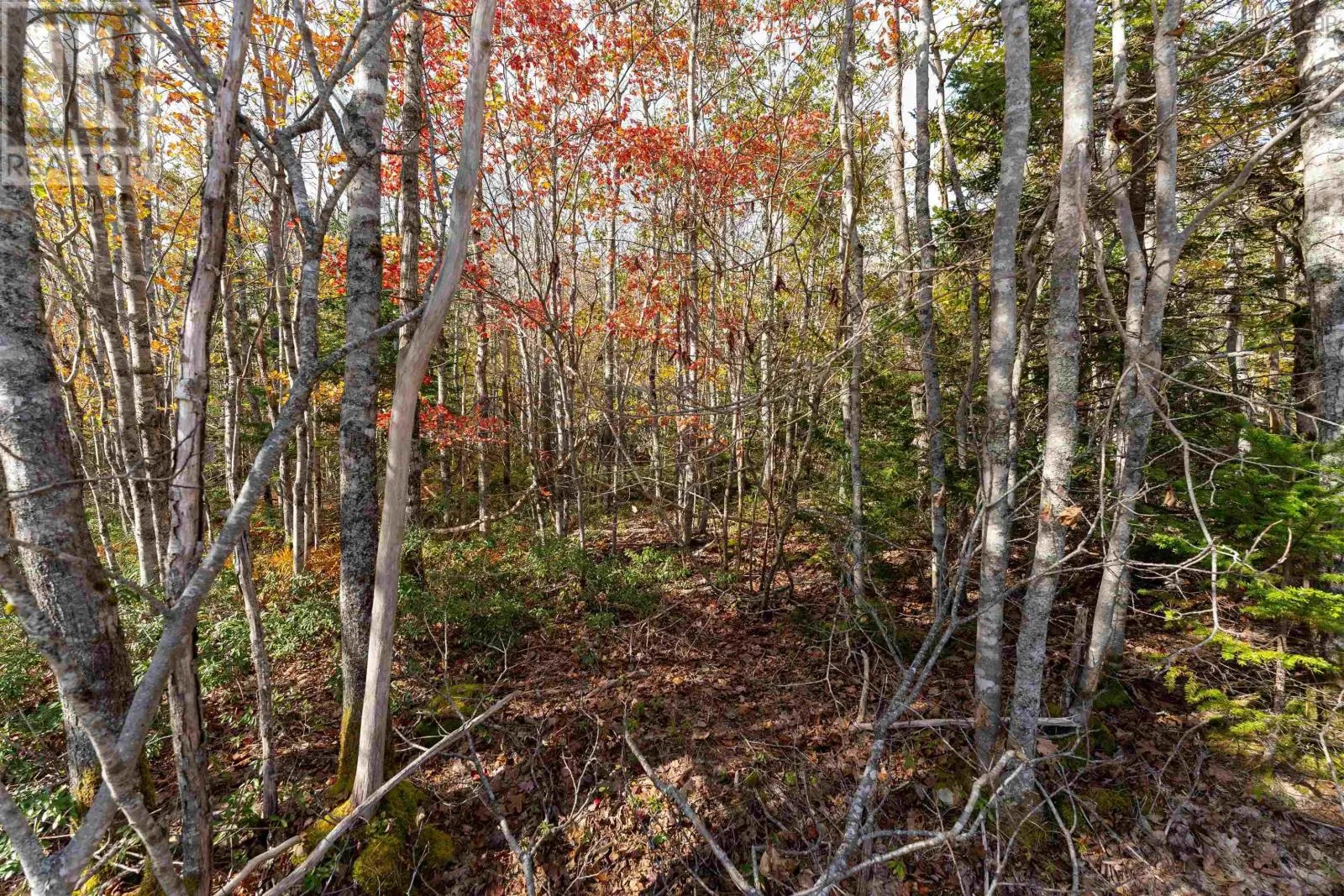 64 Morton Drive, Liverpool, Nova Scotia B0T 1K0