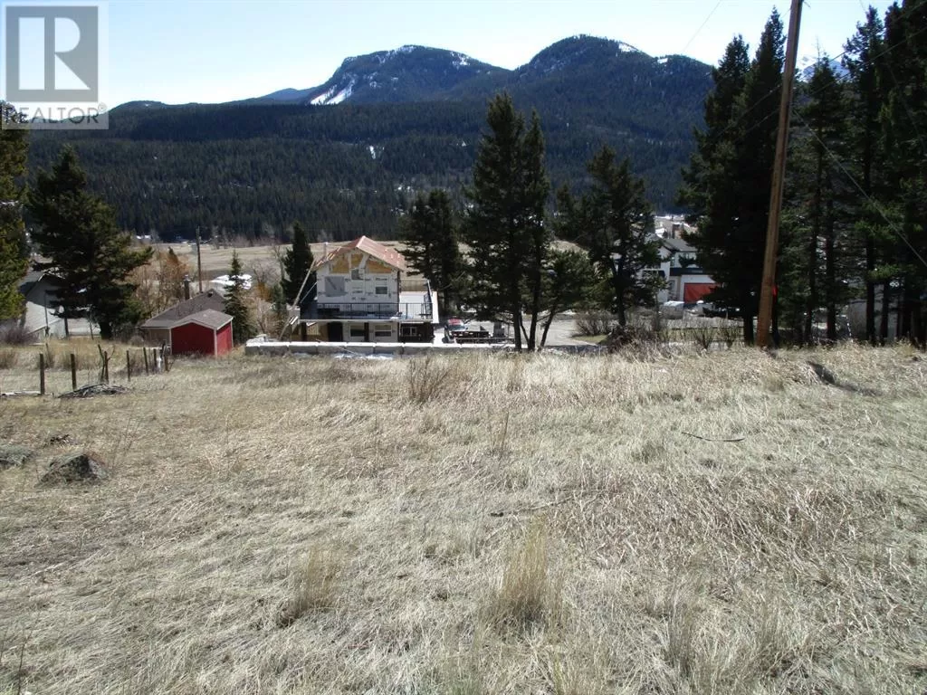 6502 24 Avenue, Coleman, Alberta T0K 0M0