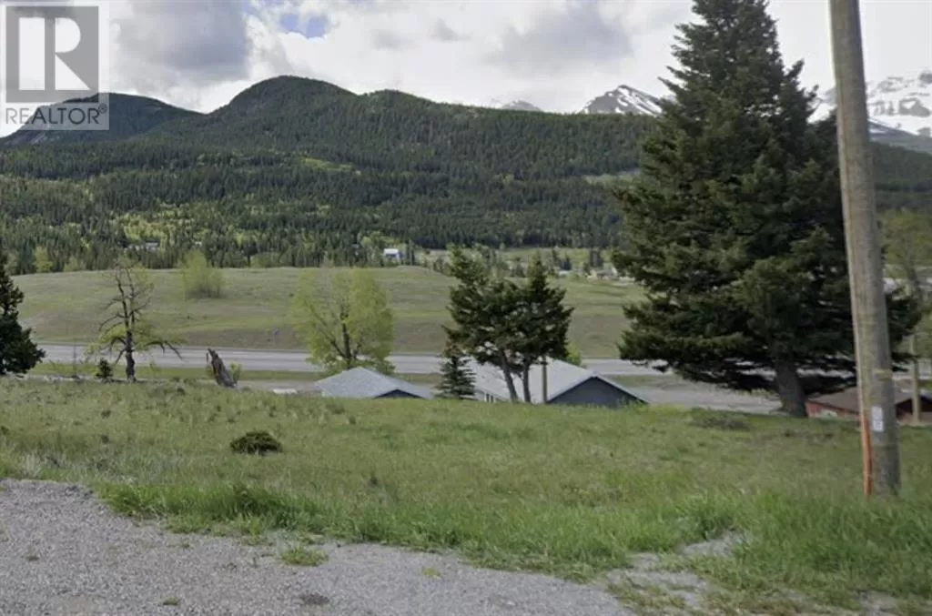 6510 22 Avenue, Coleman, Alberta T0K 0E0