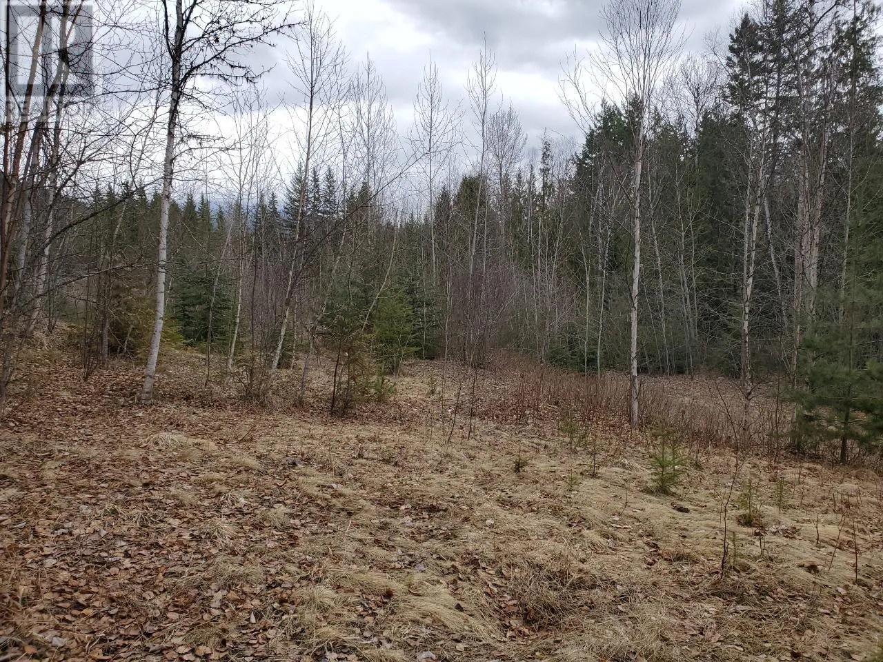 Other for rent: 657 Hoirup Road, Clearwater, British Columbia V0E 1N1