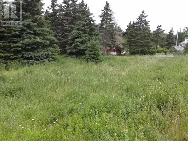 658-668 Harvey Street, HARBOUR GRACE, Newfoundland & Labrador A0A 2M0