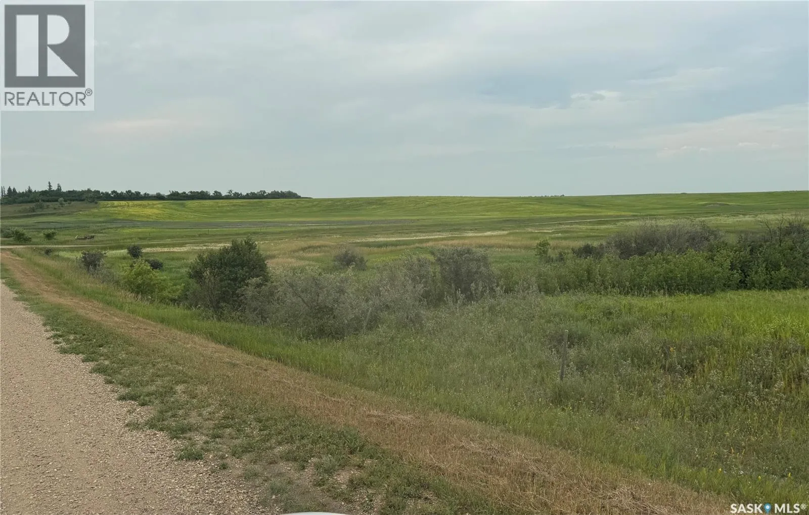 Unknown for rent: 66 Acres Near Condie, Lumsden Rm No. 189, Saskatchewan S0G 0B6