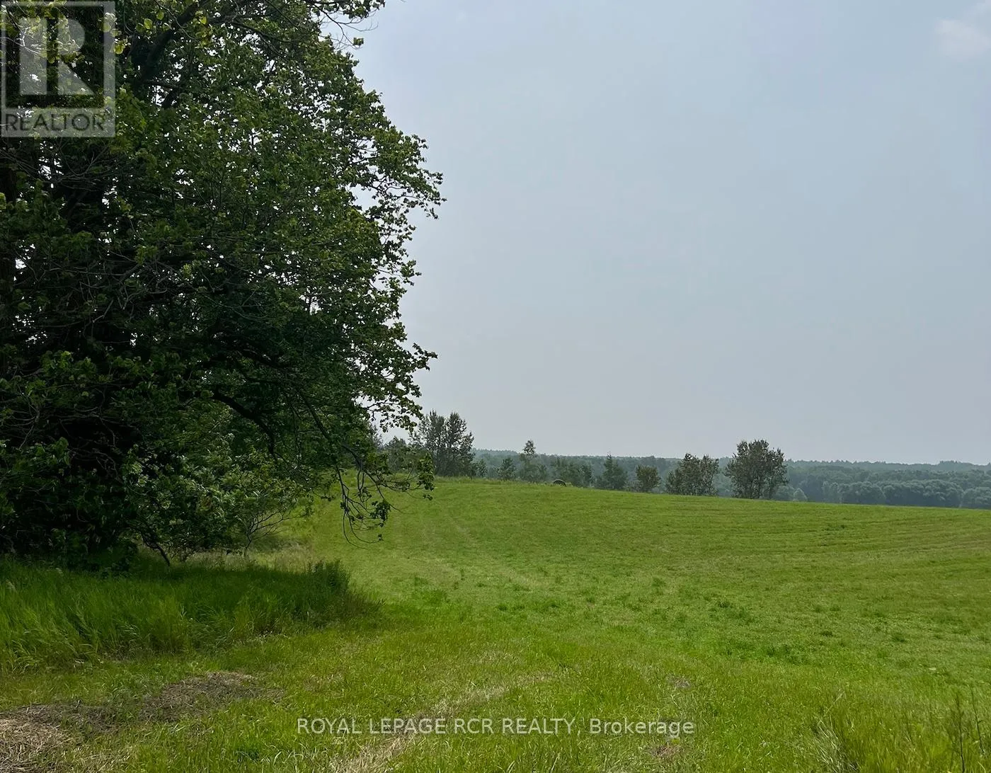 6671 County Road 9, Clearview, Ontario L0M 1N0