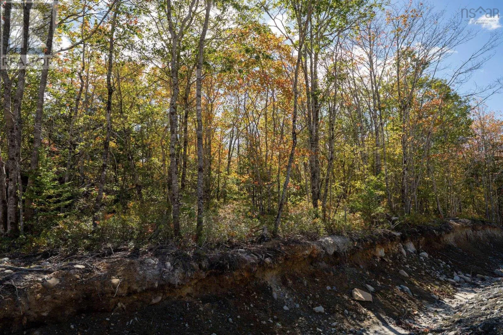 67 Morton Drive, Liverpool, Nova Scotia B0T 1K0