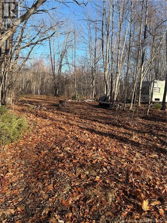 670 Back Road, Scotchtown, New Brunswick E4B 1Y3