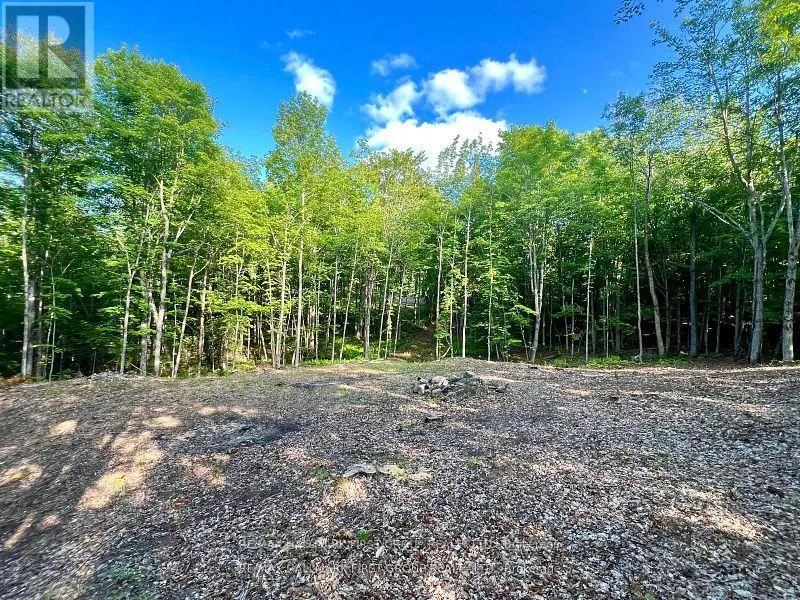 678 Centreview Road, Hastings Highlands, Ontario K0J 1L0