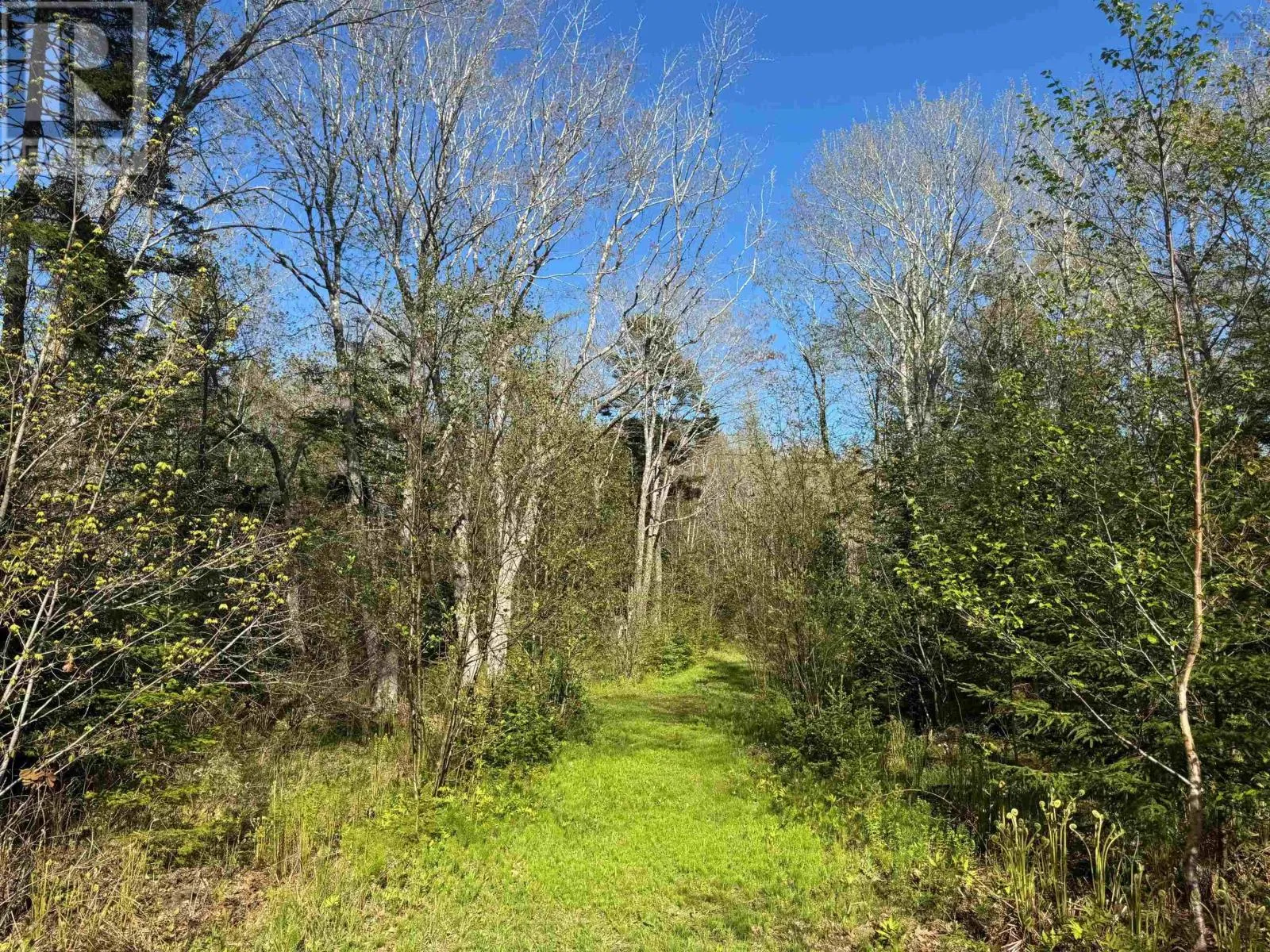 680 Mood Road, Summerville, Nova Scotia B5A 5J4