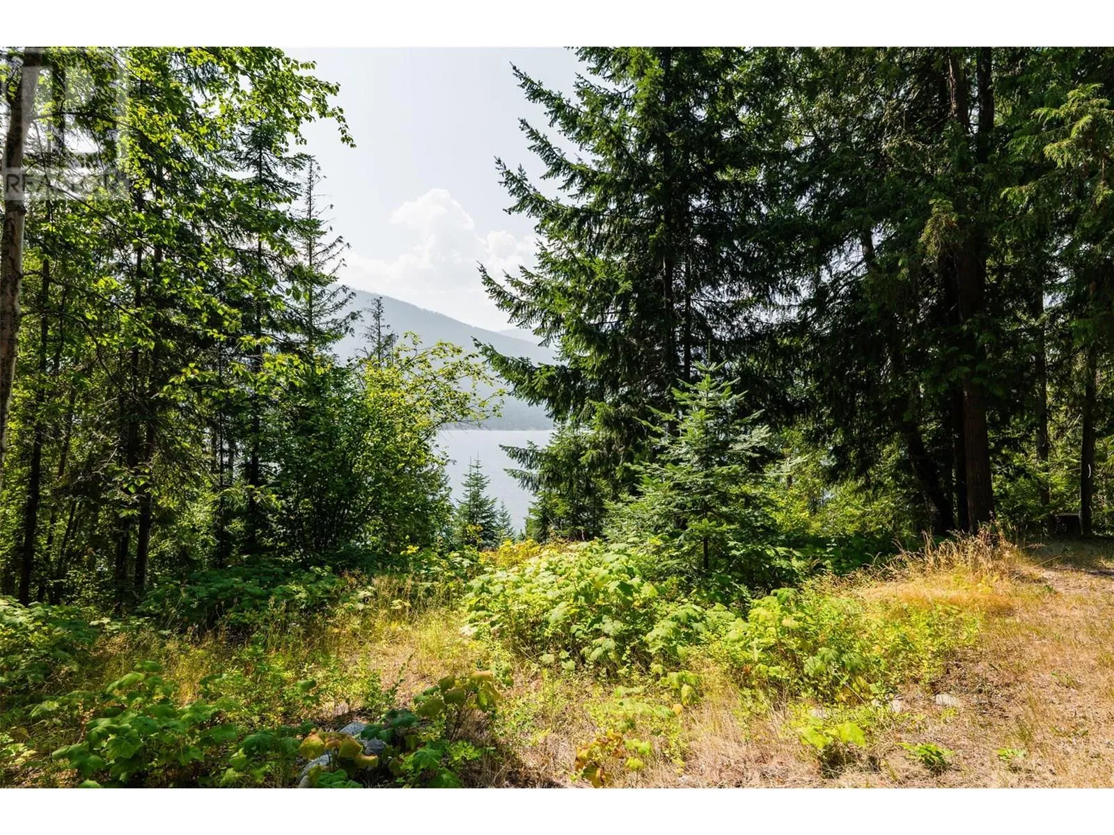 Other for rent: 6814 Marian Lane, Nelson, British Columbia V1L 6S2