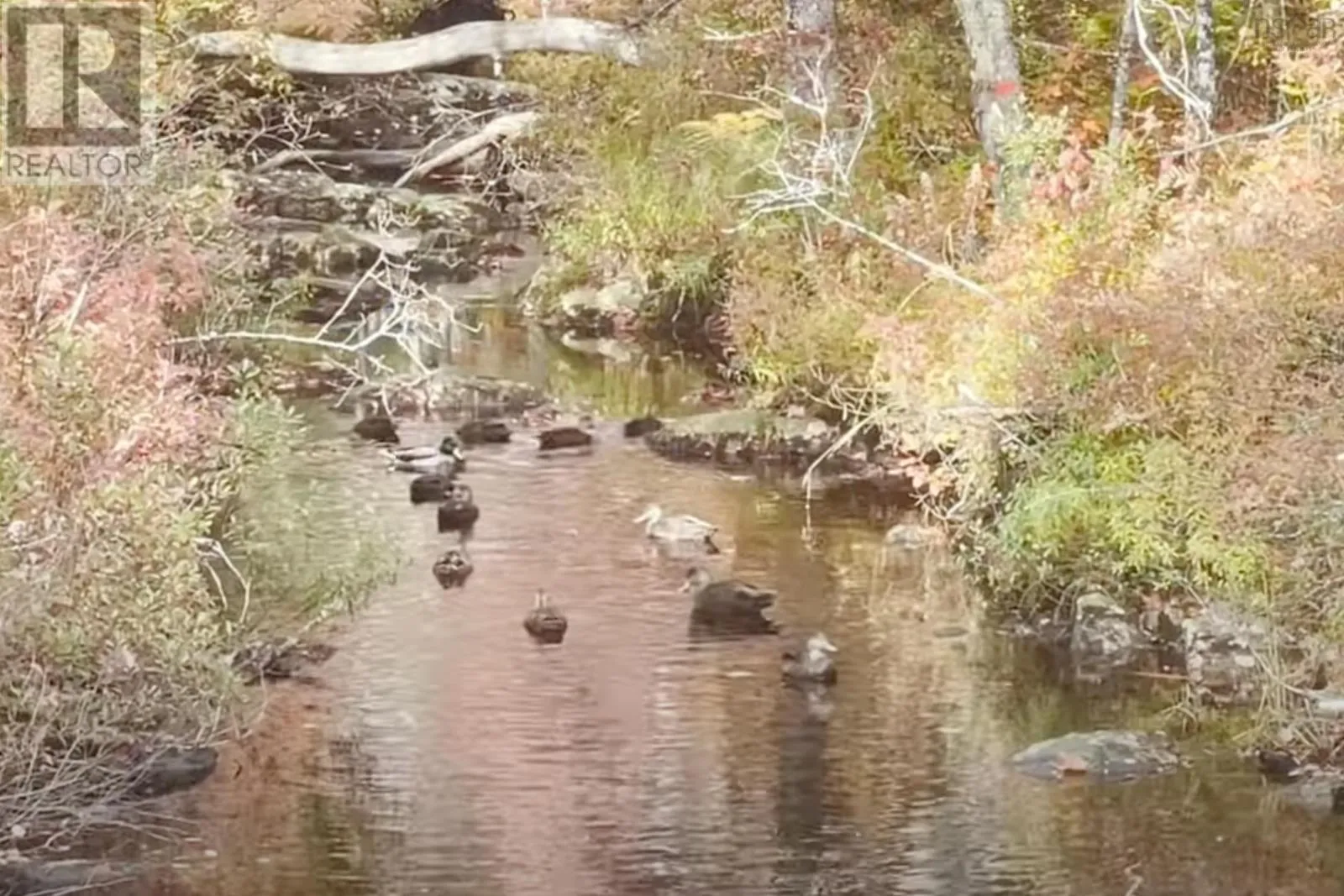 69 Meek Arm Trail, East Hants, Nova Scotia B0N 1Z0