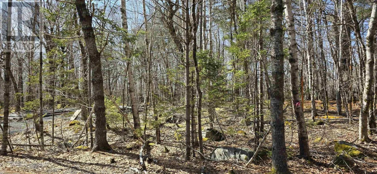 69 Sparkling Spring Lane, Labelle, Nova Scotia B0T 1E0