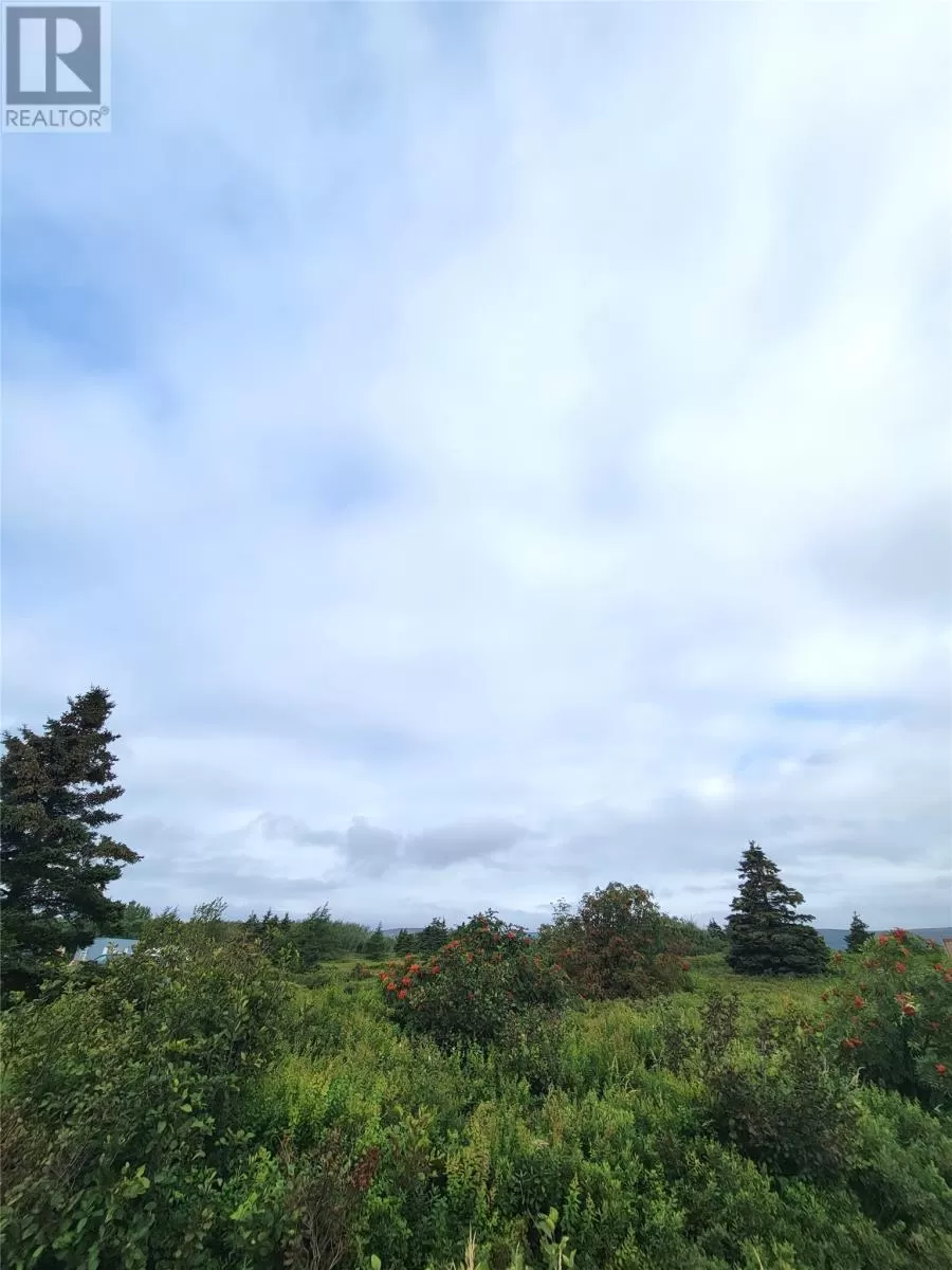 70a Central Street, BAY ROBERTS, Newfoundland & Labrador A0A 1G0