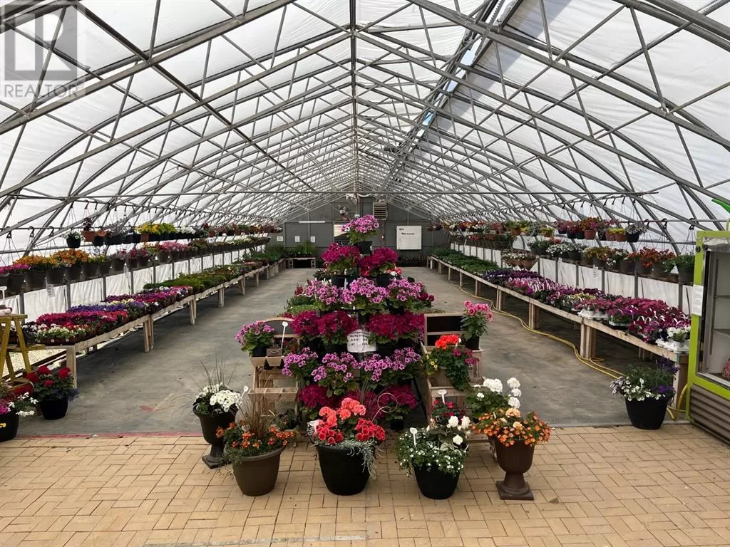 711 8 Avenue E, Bow Island, Alberta T0K 0G0