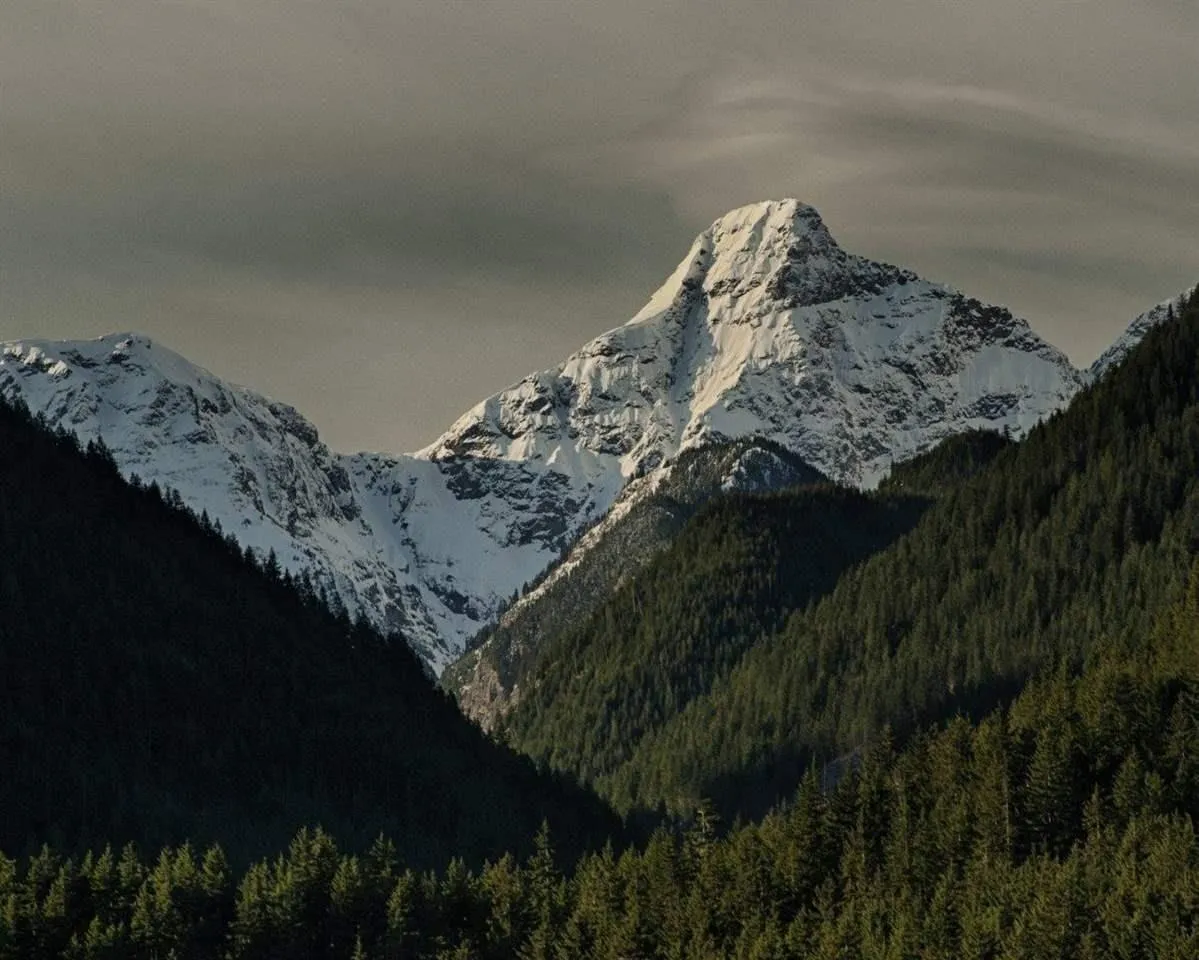 House for rent: 71423 Grove Boulevard|sunshine Valley, Sunshine Valley, British Columbia V0X 1L5